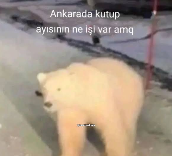 Yusuf AKÇER tweet media