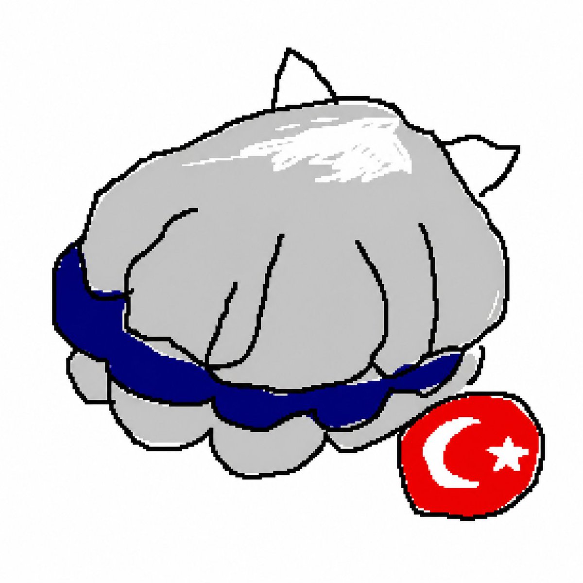 Scallop Türkiye tweet media
