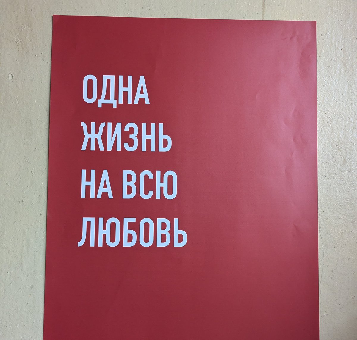Annushka_Smaslom tweet media
