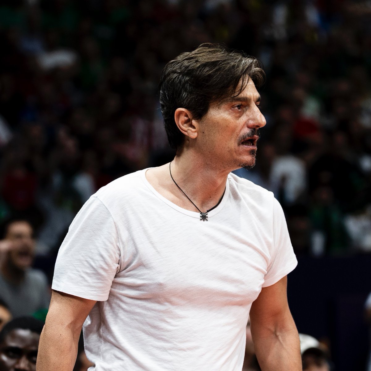 Eurohoops Türkiye tweet media