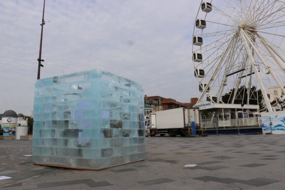 purple4bladder tweet media
