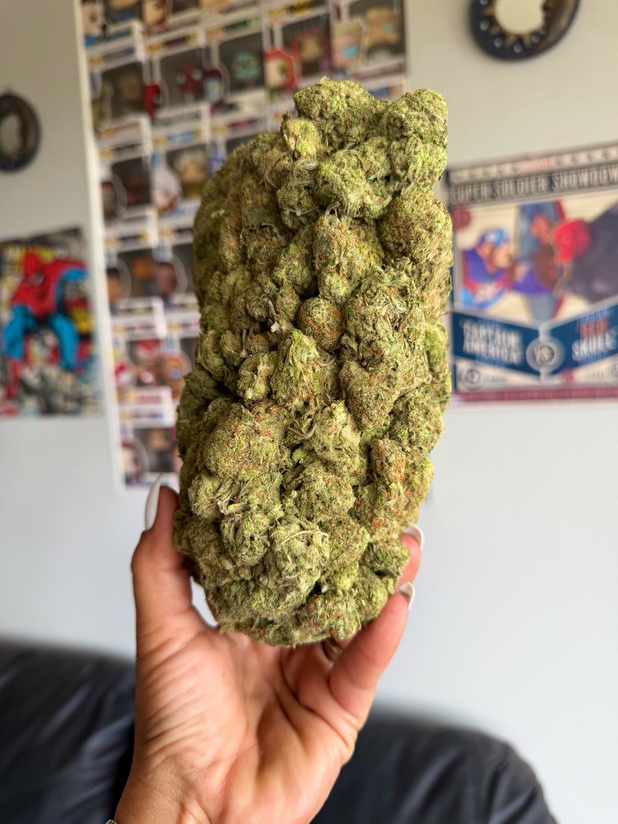 jen_wrightcr's tweet photo. Sticky icky ball of nugs, my favourite 💚 https://t.co/sOkE9ZCgXD