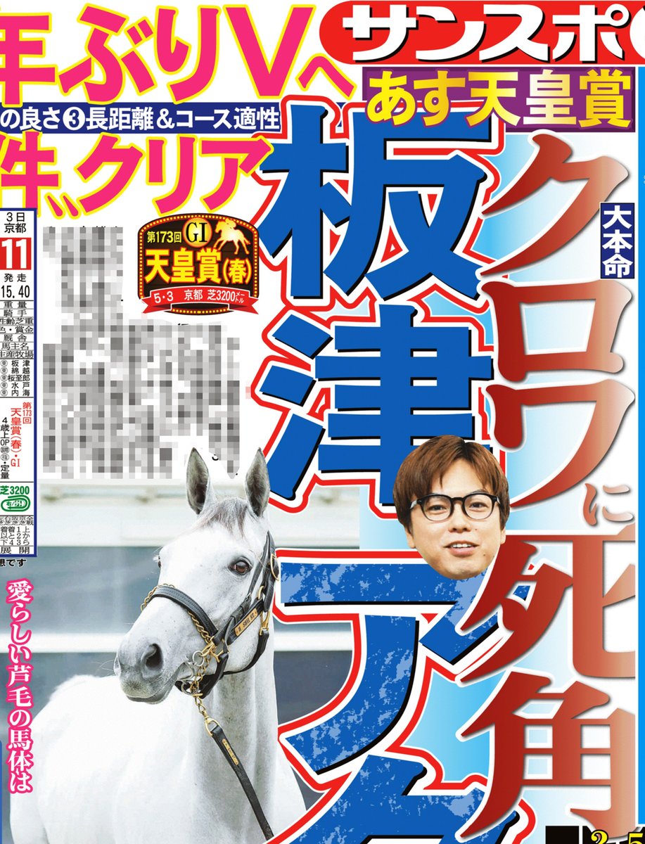 シンザン　昭和40年天皇賞 競馬パネル 日刊スポーツ シンザン 昭和40年天皇賞 競馬パネル 日刊スポーツ - メルカリ