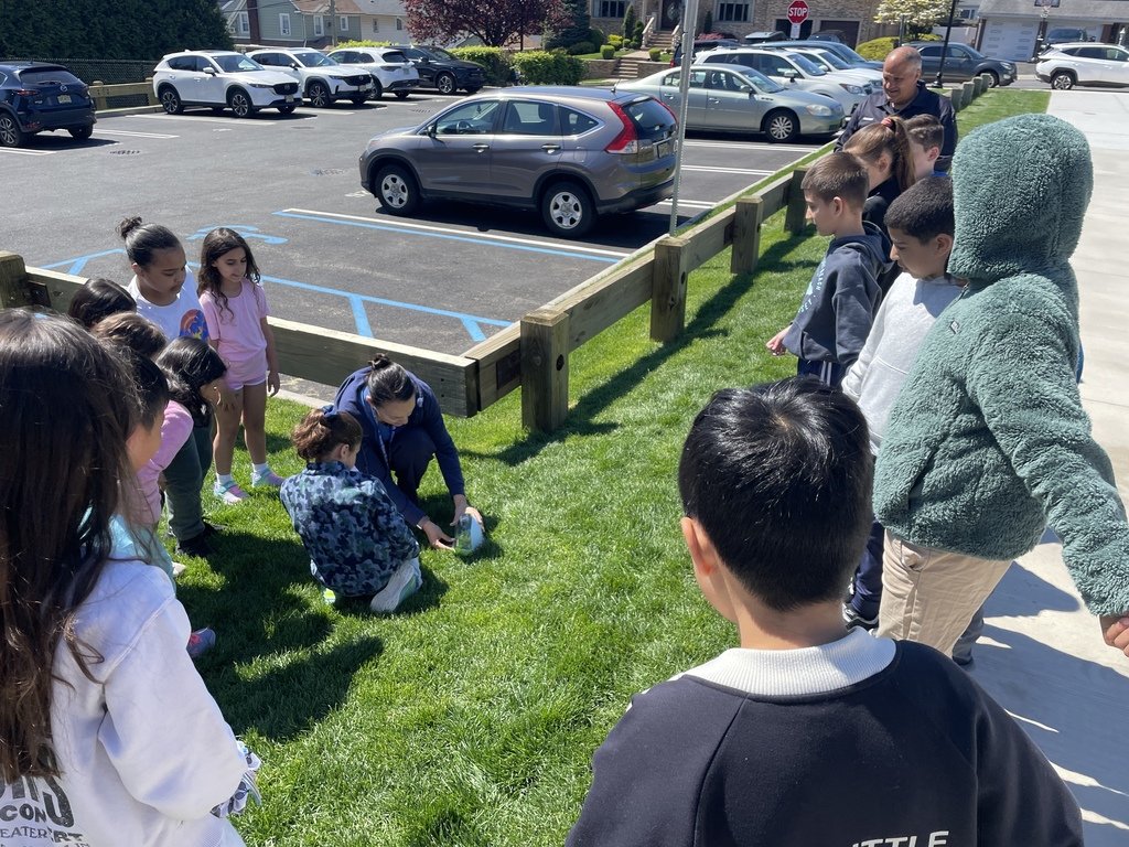 WRBOE's tweet photo. A special goodbye to some tiny friends 🐞🌿✨ Our 3rd graders released their ladybugs today, watching them take flight after learning all about their life cycle. A memorable moment of science, care, and a little bit of letting go! 💙 https://t.co/oBK3K8eMMU