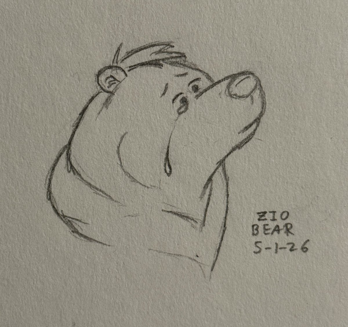 Zio the Bear tweet media