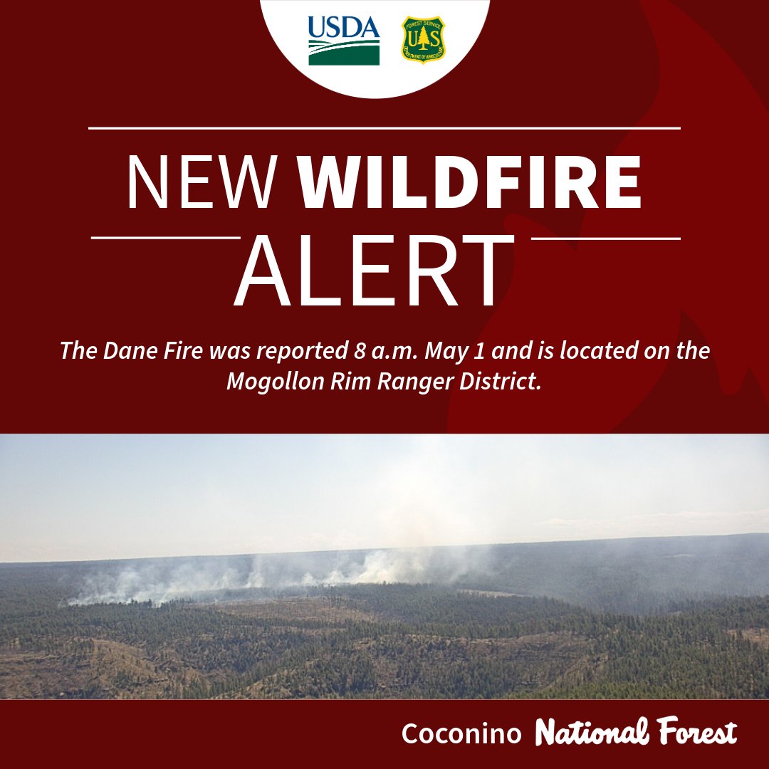 Coconino NF tweet media