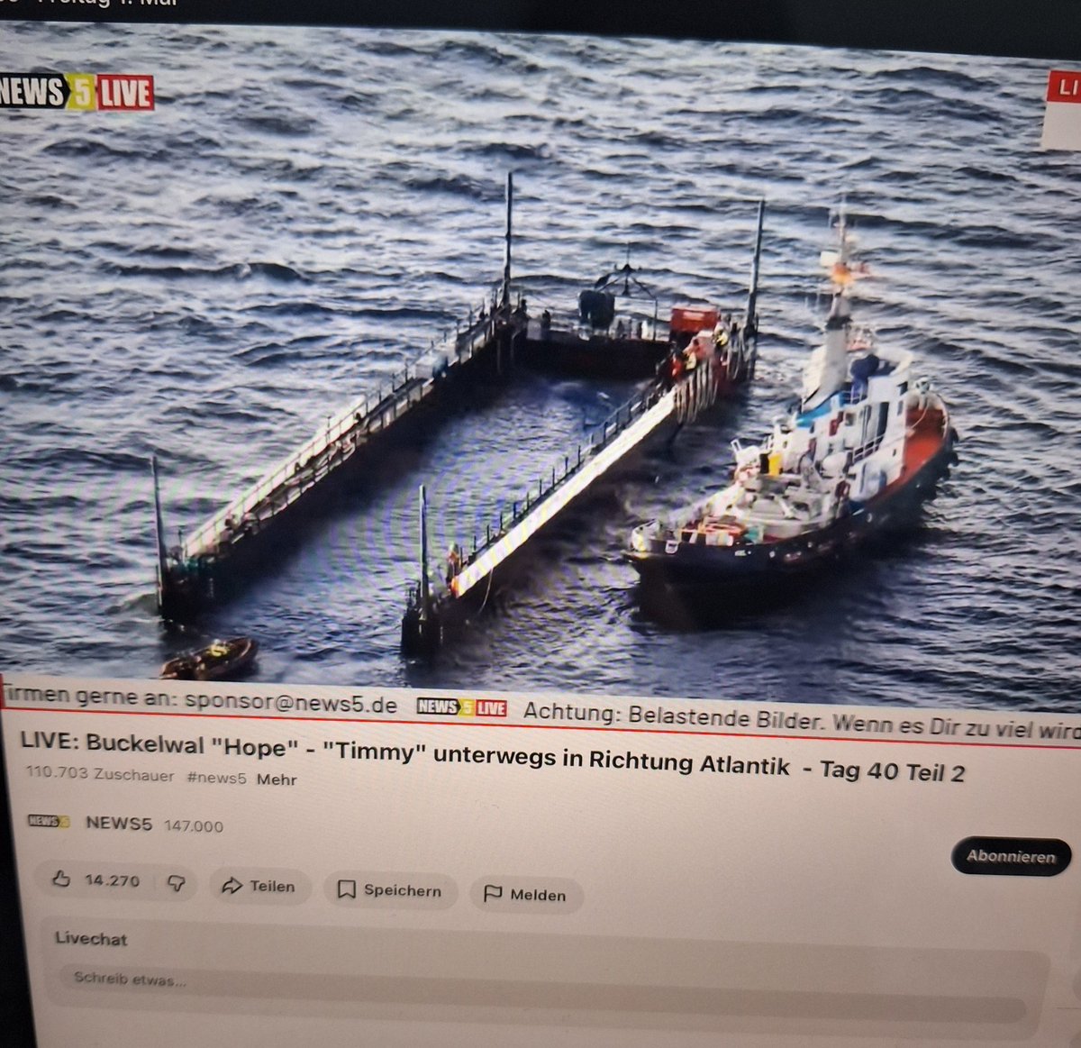 BITTE NICHT BEI NEWS5 ANRUFEN!!! 
#Timmy scheint es gemütlich zu finden und ist wieder nach vorne geschwommen. Er war mit der Fluke schon am Ende der Barge, ist dann aber wieder "in Sicherheit" geschwommen. 🐳