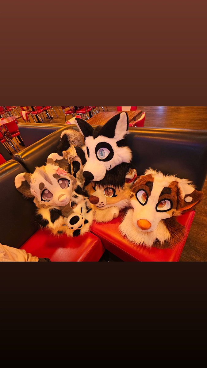 Blueber_studio's tweet image. Fuzzy going bowling 🎳 

#furry #furryfriends #fuzz #owo