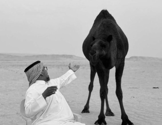 نوني tweet media