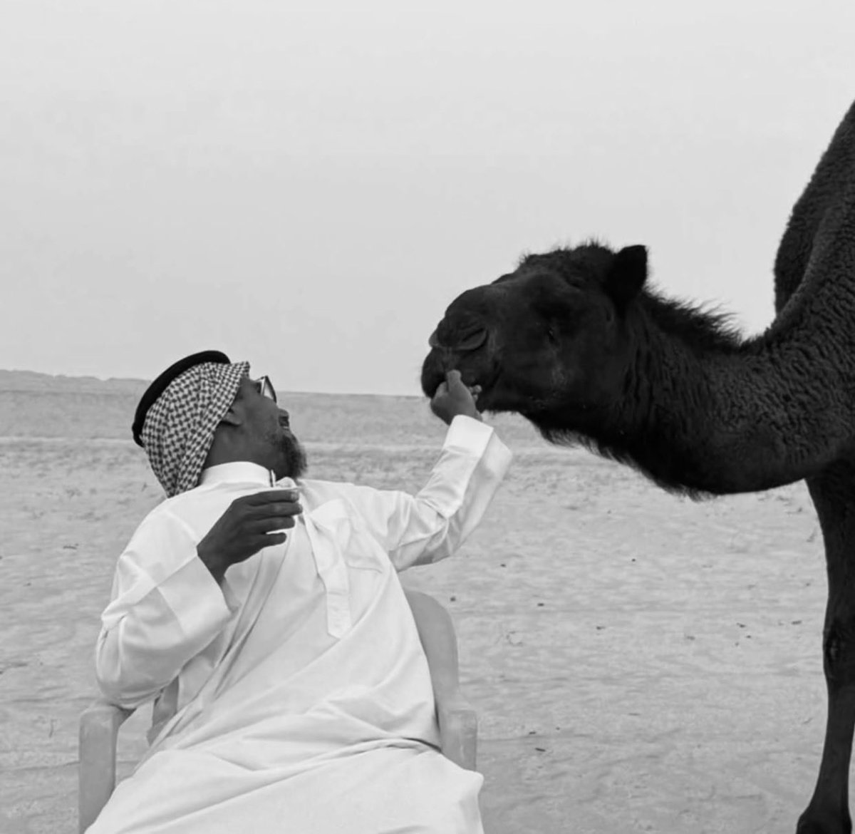 نوني tweet media