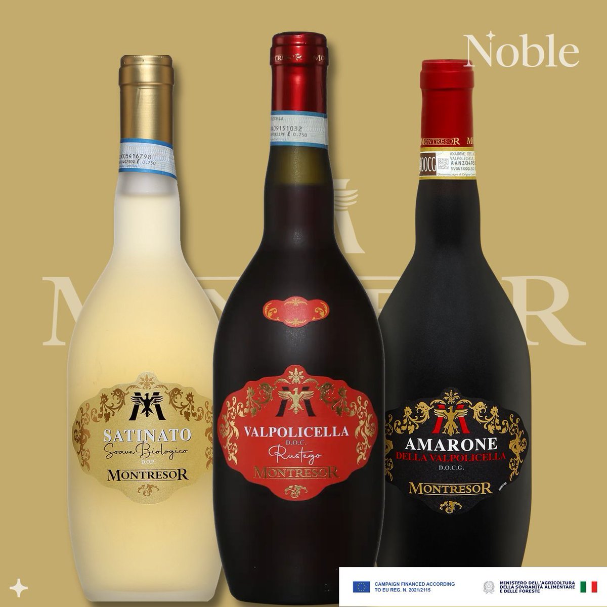 noble_selection's tweet photo. Nouvelle cuvée chez @montresor_wines 🍷

Le Rustego Valpolicella rejoint la gamme iconique de cette maison de Vérone fondée en 1892.

Assemblage Corvina, Corvinone, Rondinella : un vin frais, fruité et élégant, aux arômes de petits fruits rouges.

Dispo chez @lasaq code 15568109 https://t.co/8RB5qTHBTk