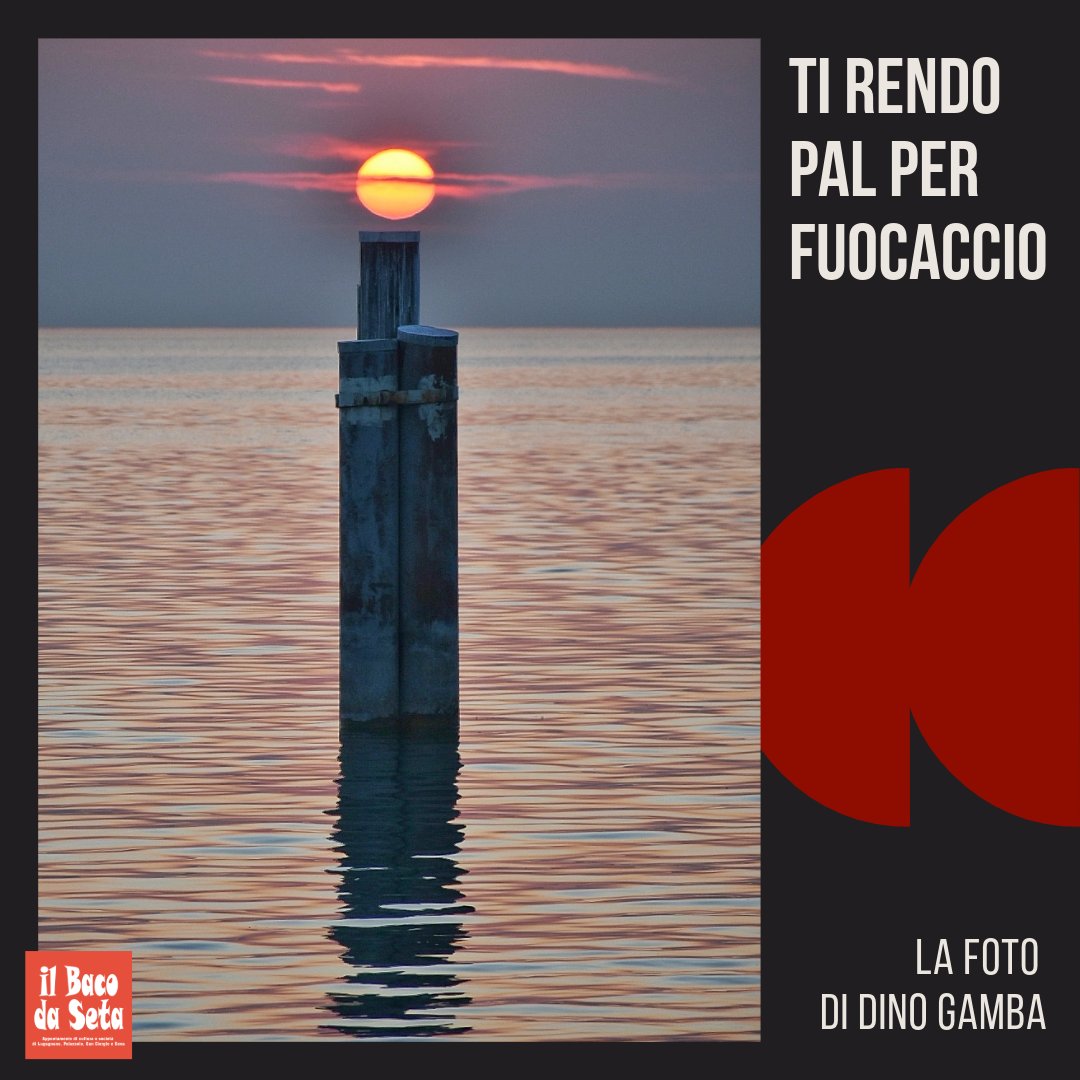 IlBacodaSeta's tweet photo. La foto della settimana, di Dino Gamba https://t.co/1ZK6vK9Fkn