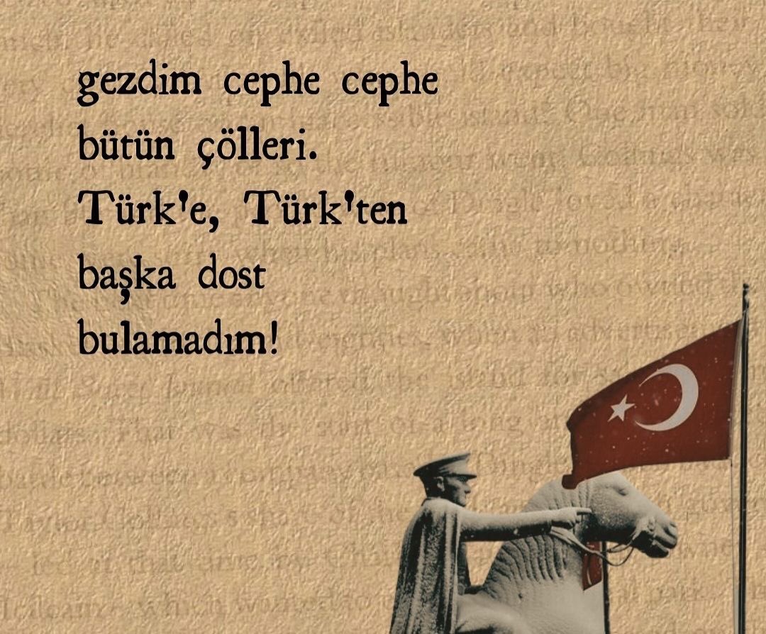 Bürküt. tweet media