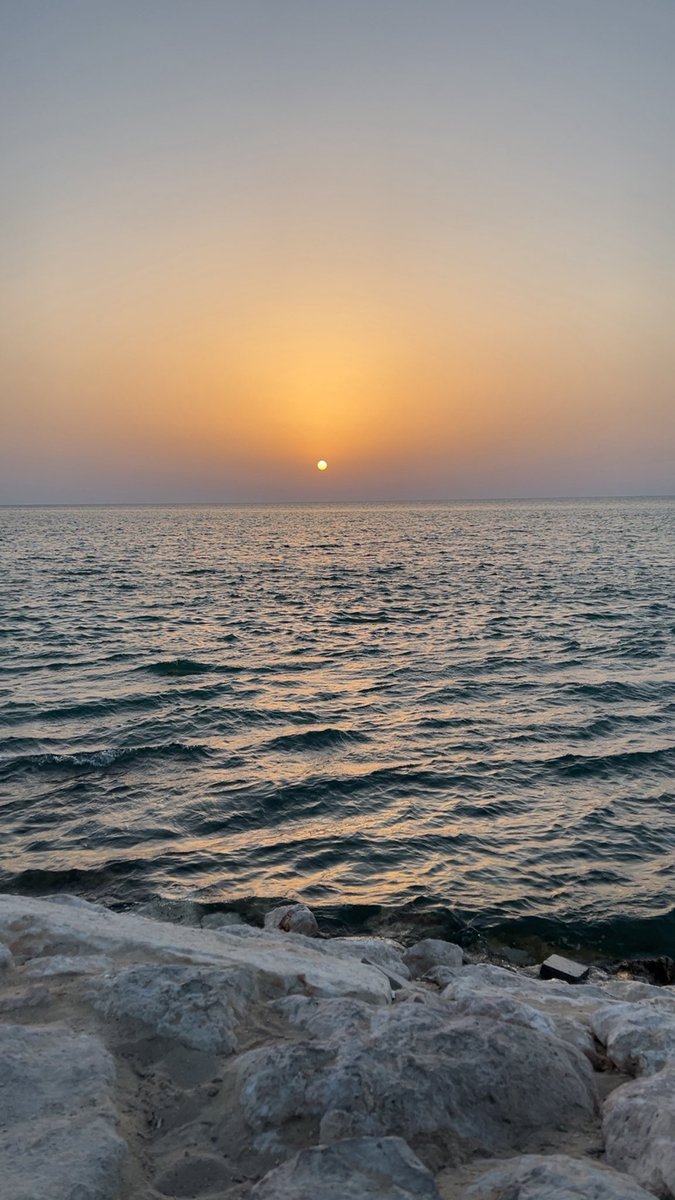 دهشه 🦋 tweet media