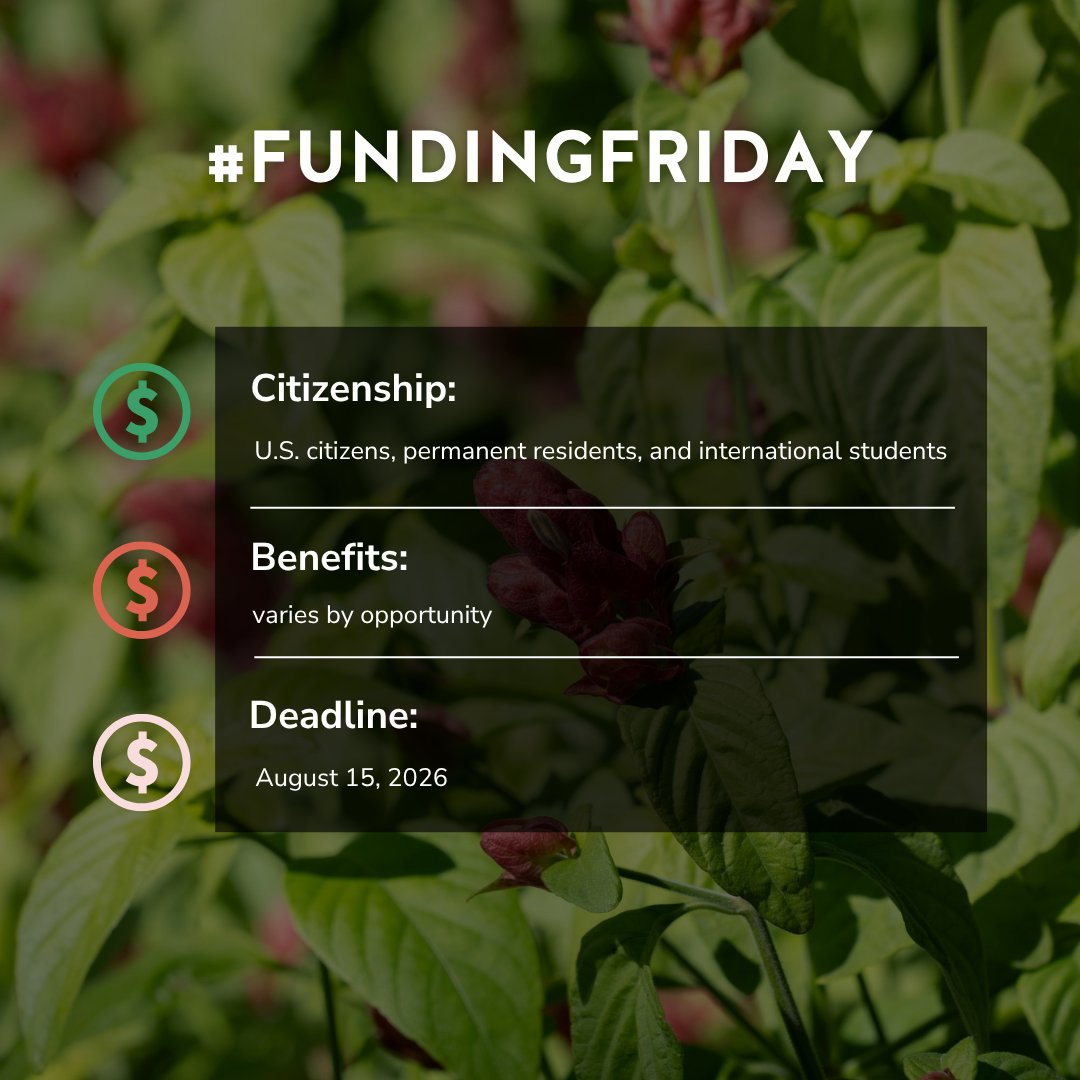 TXSTGradCollege's tweet photo. #FundingFriday:  Alpha Kappa Alpha Educational Advancement Foundation Scholarships provide financial need and merit scholarships to support full-time graduate students. 🔗 https://t.co/og9DOxw0Zj https://t.co/ZCovpAE8Rc