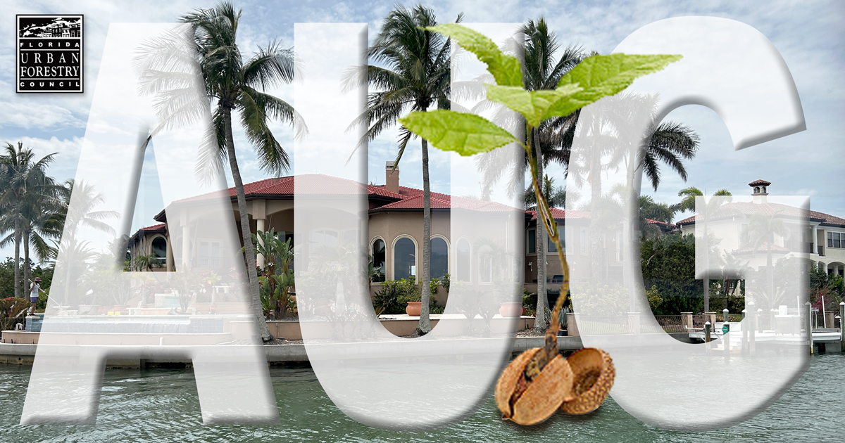 Florida Urban Forestry Council tweet media