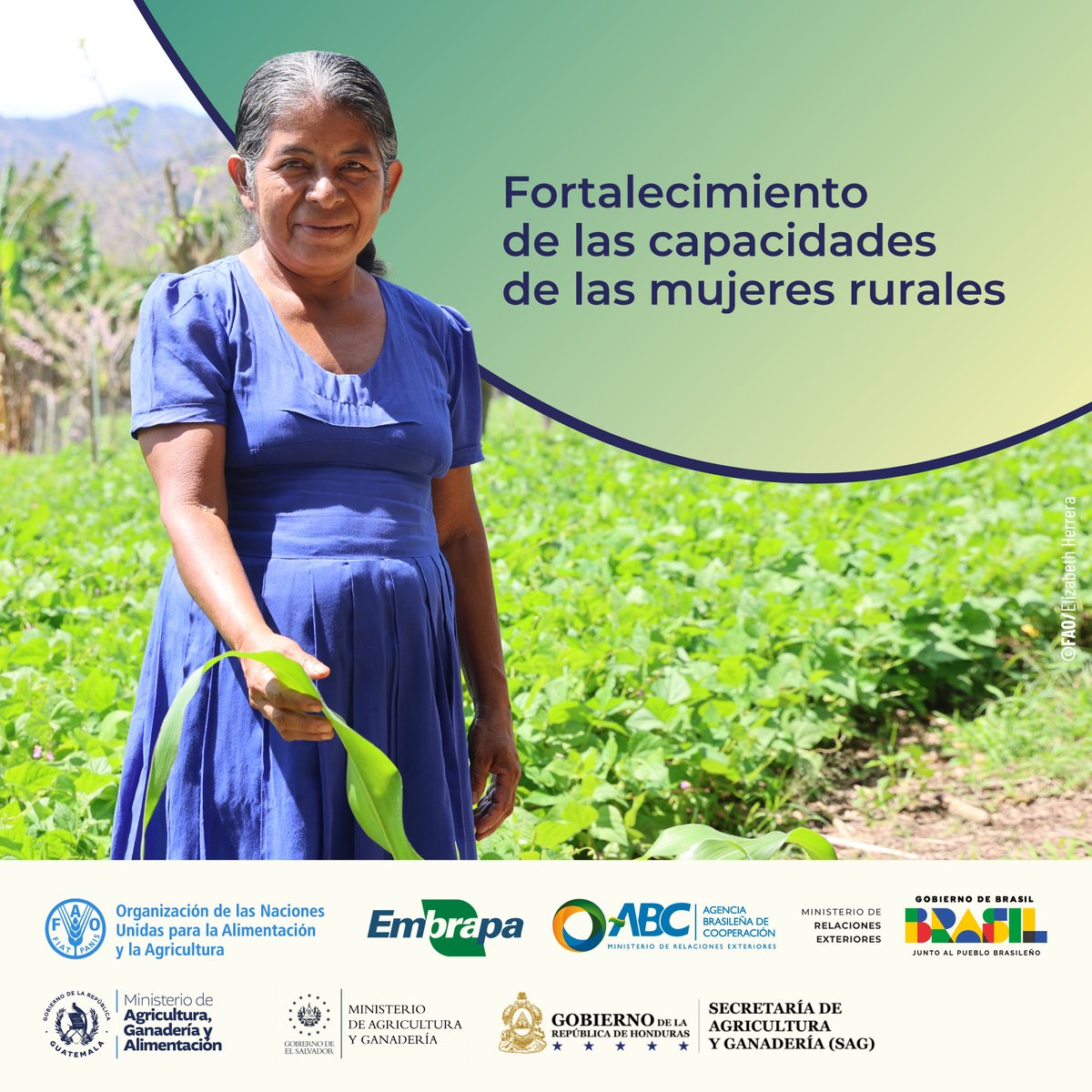 FAO Mesoamérica tweet media