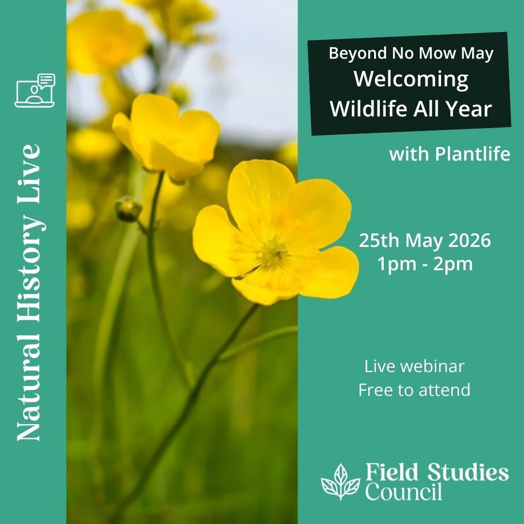 Field Studies Council tweet media