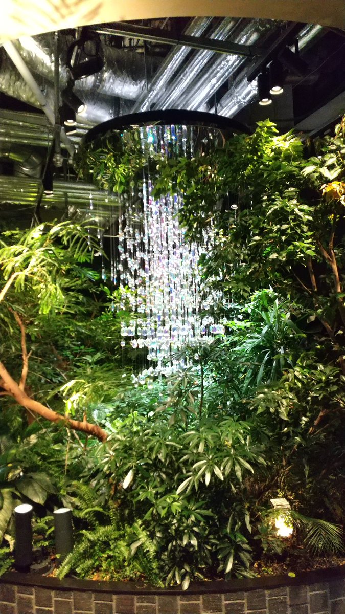 sunusunuroom's tweet photo. 高輪ゲートウェイシティ行って来ました。
28F空中庭園で植物に癒されました🌳 https://t.co/OT9qS6yRFH