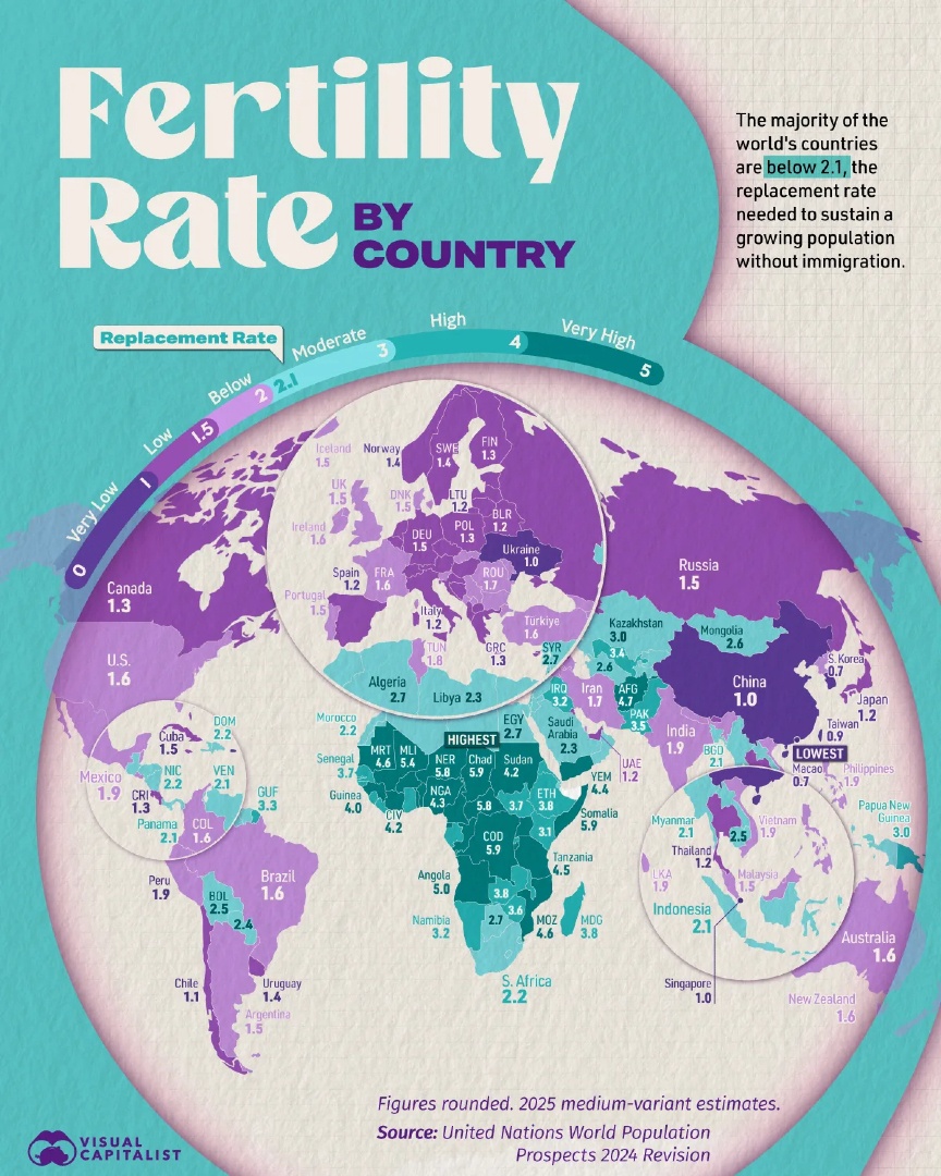 Visual Capitalist tweet media