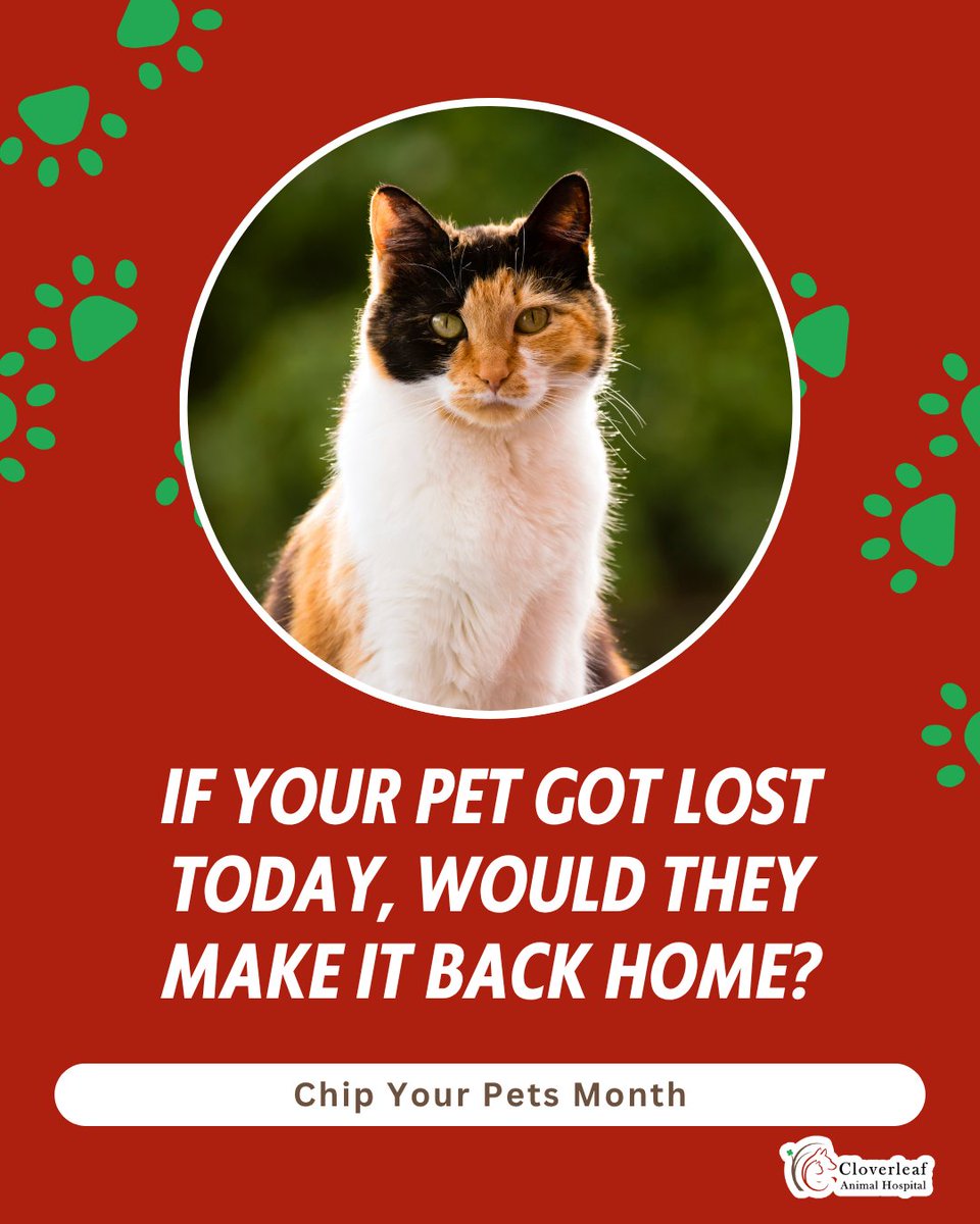 cloverleaf712's tweet image. Every year, many lost pets are brought to veterinary clinics and shelters without identification.

Microchipping your pet can make a meaningful difference if they ever become separated from home. 🐾

#ChipYourPetsMonth #PetSafety #CAHFaithful #CloverleafAnimalHospital