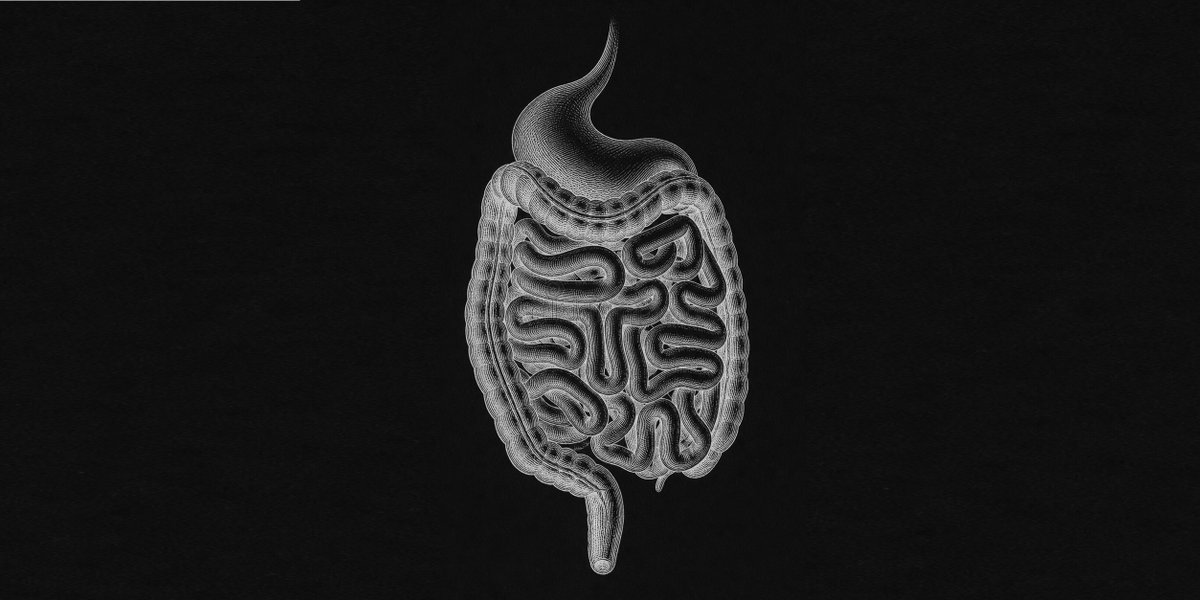 ergogenics_org's tweet photo. Colitis ulcerosa bijna in remissie door suppletie met AstraGin. Pilot-studie. https://t.co/yUKB1RX00I https://t.co/xh8oqBbxVq
