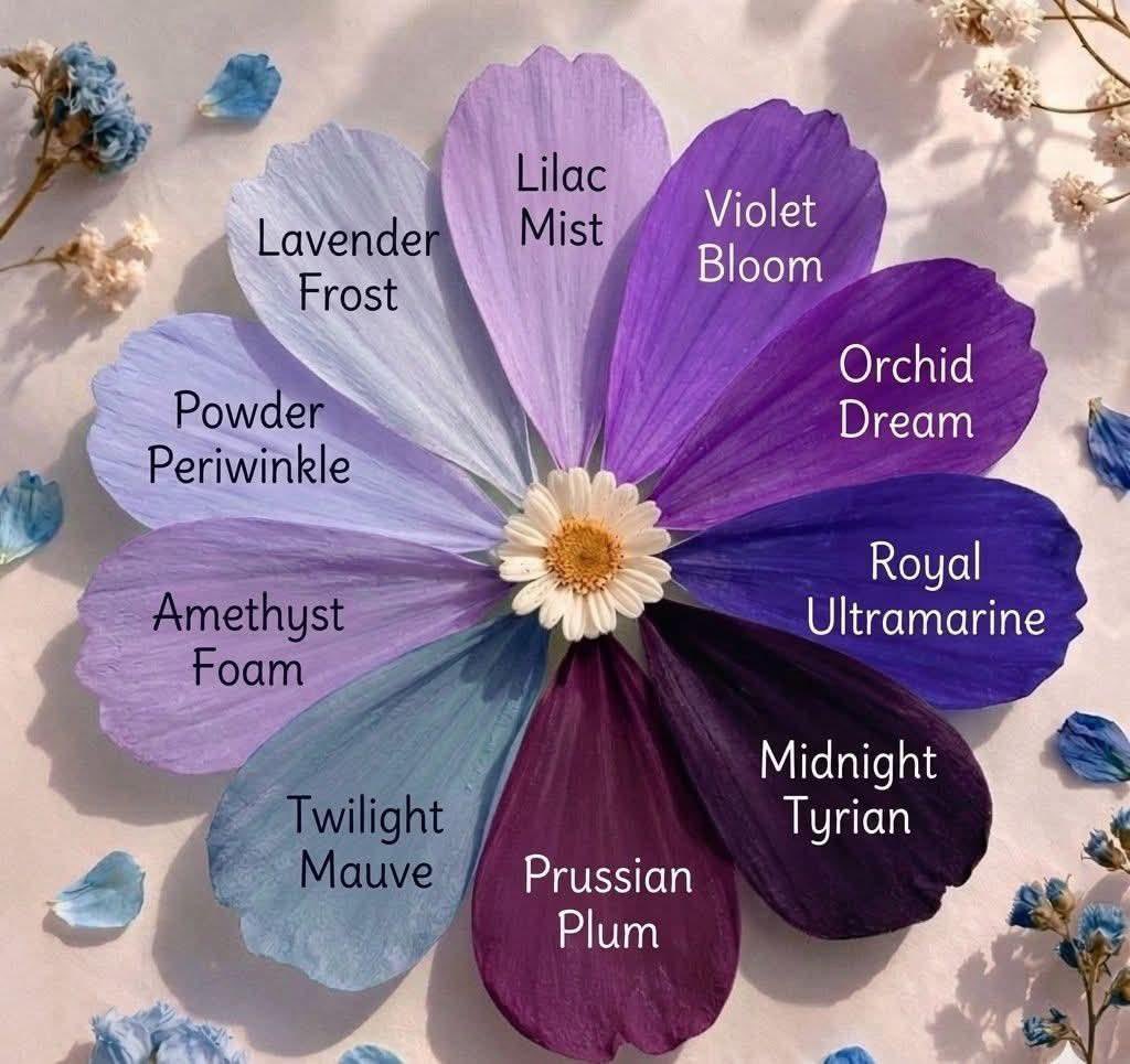 yamini109's tweet image. Obsessed with shades of purple #purple #colors