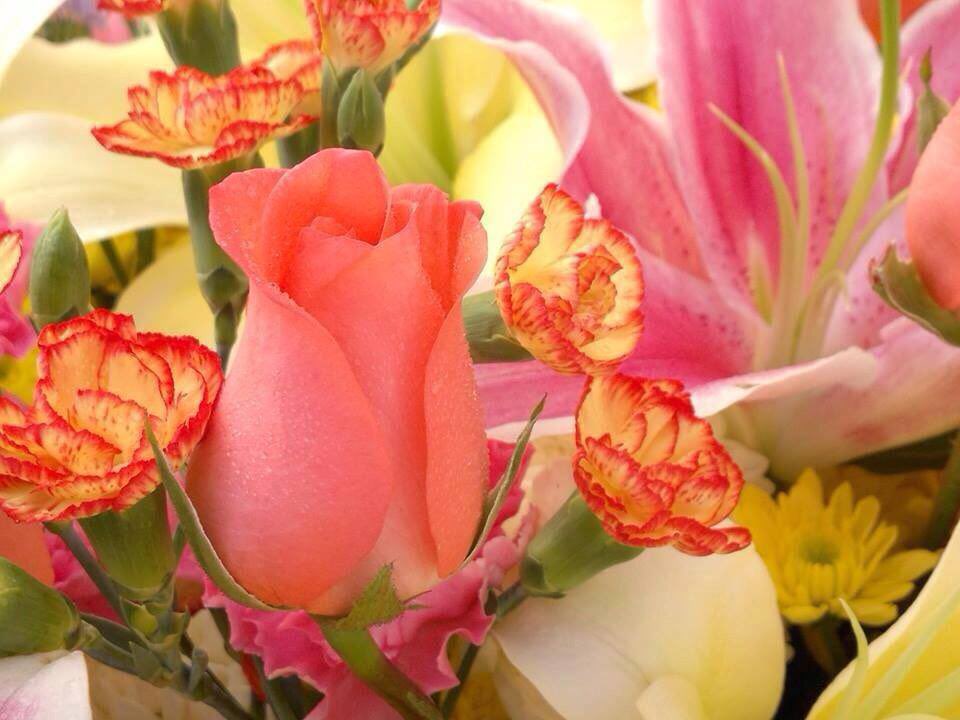V Shivananda Kumar tweet media