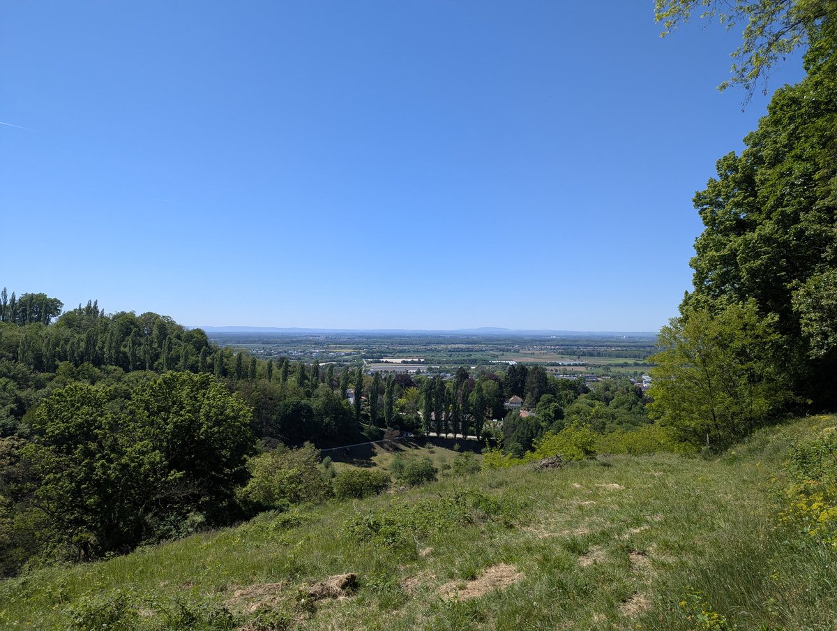 Maiwanderung von Bensheim zum Staatspark Fürstenlager Auerbach und zurück nach Bensheim