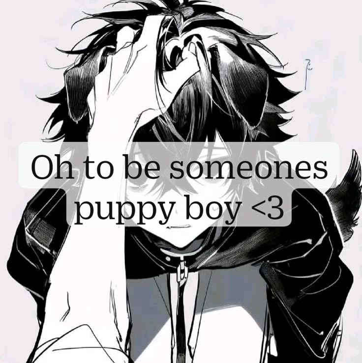 🐾Puppy boy 🐾 tweet media