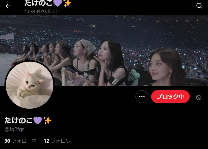 詐欺垢監視用 tweet media