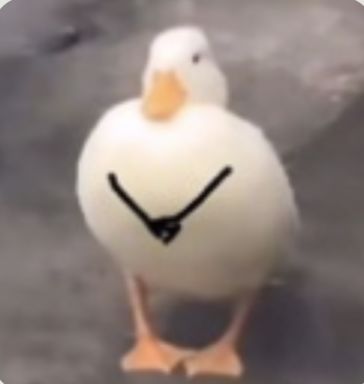 SoraCrys¹⁶ ³ ⁴³ tweet media