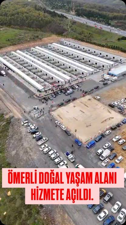 Prof Dr. Nebahat BULUT tweet media