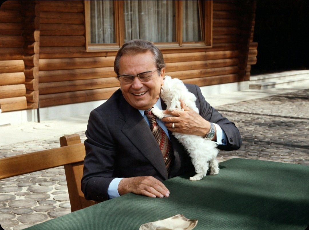 Predrag Aleksendrić 🌍 tweet media