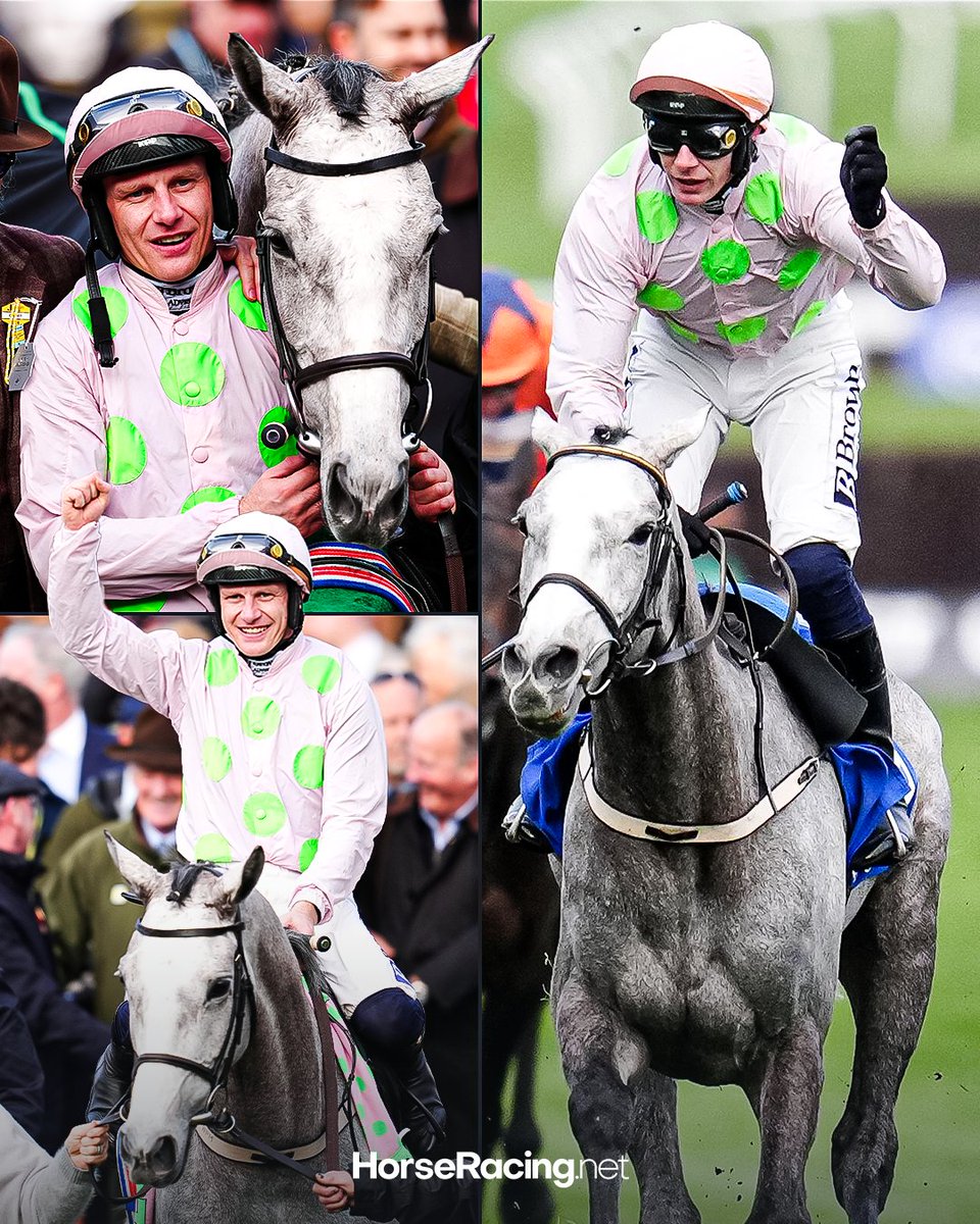 HorseRacing.net tweet media