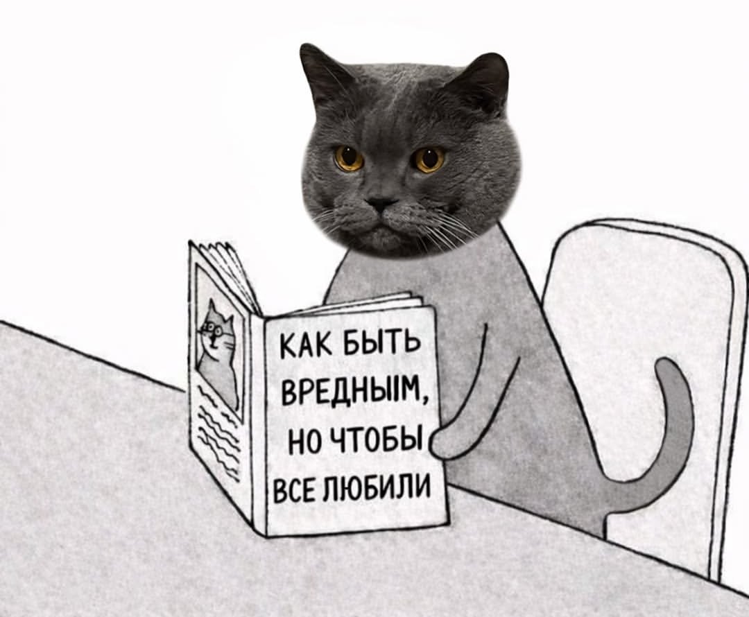 ▪️ good boy ▪️ tweet media