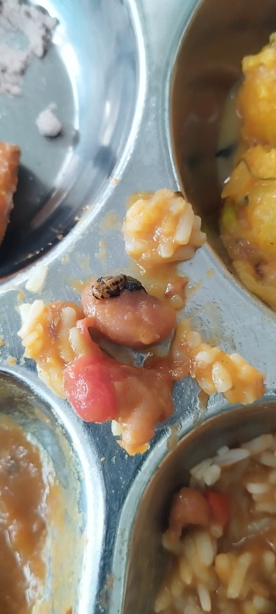nationalgabru's tweet image. Same is happening in #IIT Ropar 
Students get their food filled with insects and bugs.
The mess manager is so arrogant - He says that - upar se gir gaya hoga, hamari mistake nahi hai.
Even the college administration doesn't do inquiry/vendor change because of their commission. 🙏🏻