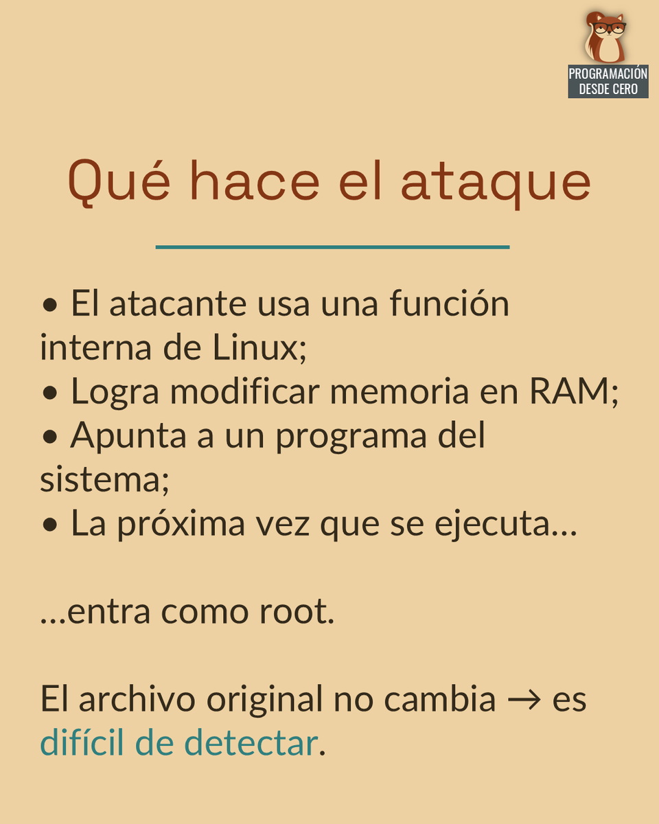 Programación Desde Cero tweet media