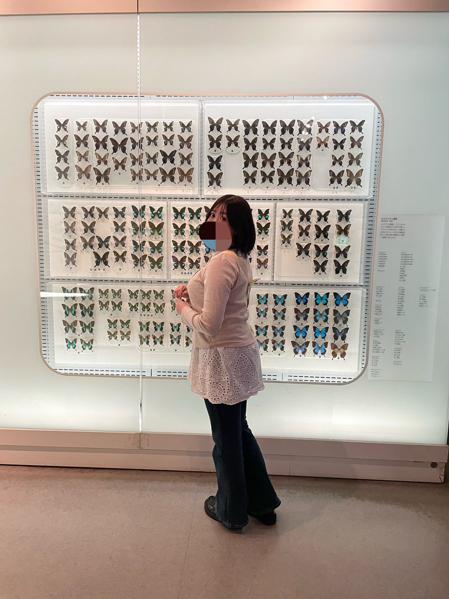 today_sweets's tweet photo. はじめましての国立博物館🐋🦋
いい休日でした💫🍀 https://t.co/zCUagOX7bB