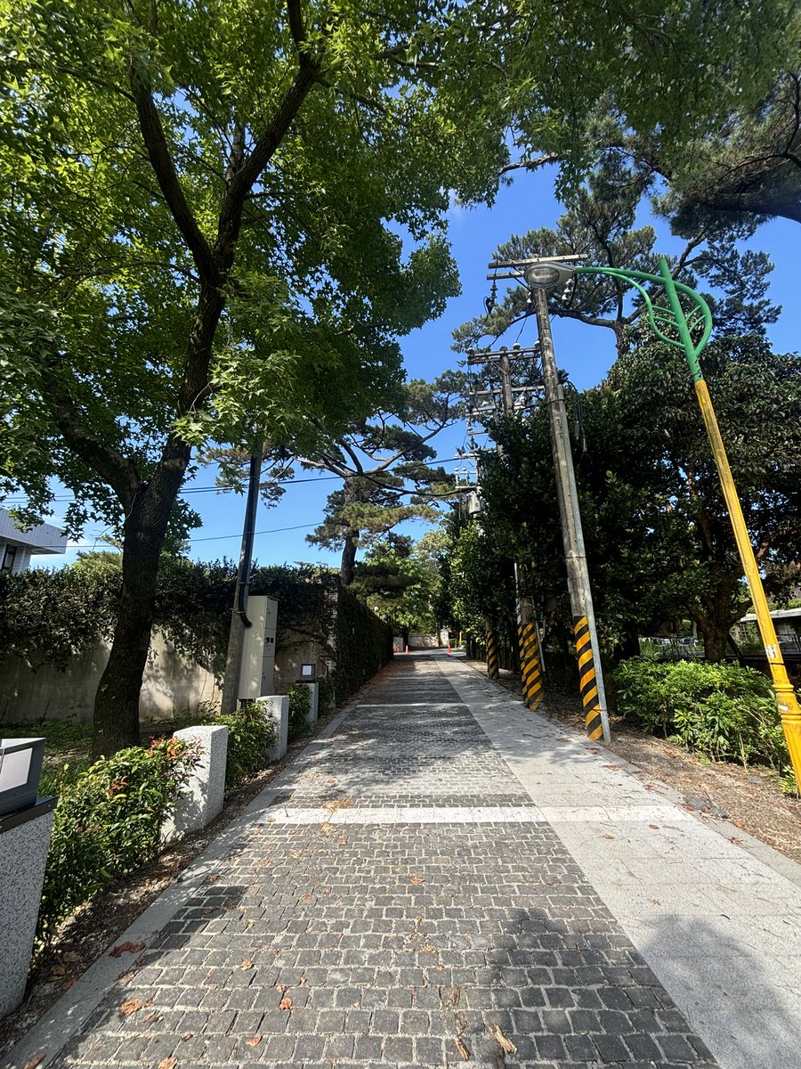 fdw2y's tweet photo. 直男已經沒市場 #花蓮 https://t.co/uKvt4I8qo8