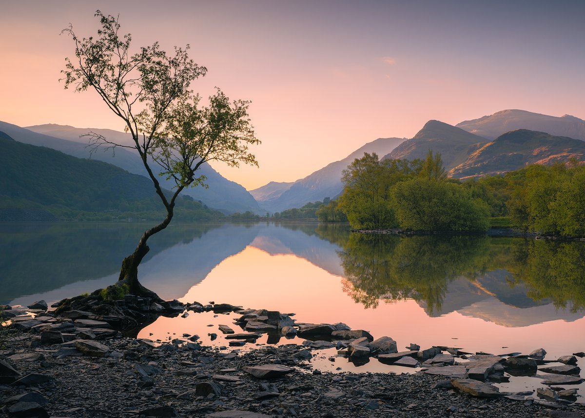 DamianShields1's tweet image. First light over Llyn Padarn, Llanberis #Wales #Snowdonia #Gwynedd damianshields.com