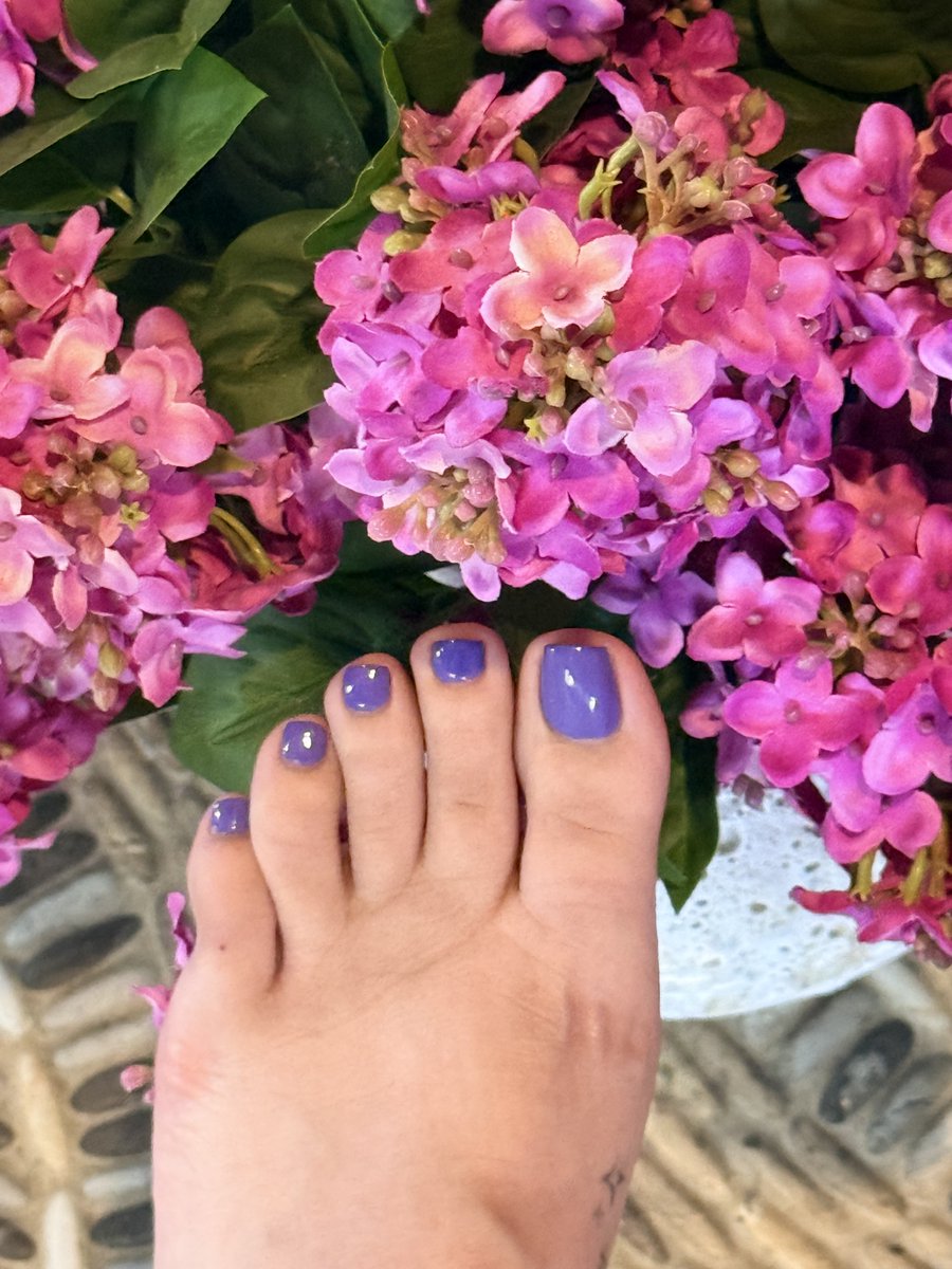 SorceryFeet6341's tweet photo. Purple Spring Toes
#springtime #toescurl #feetِ https://t.co/LpJEWLsdlI