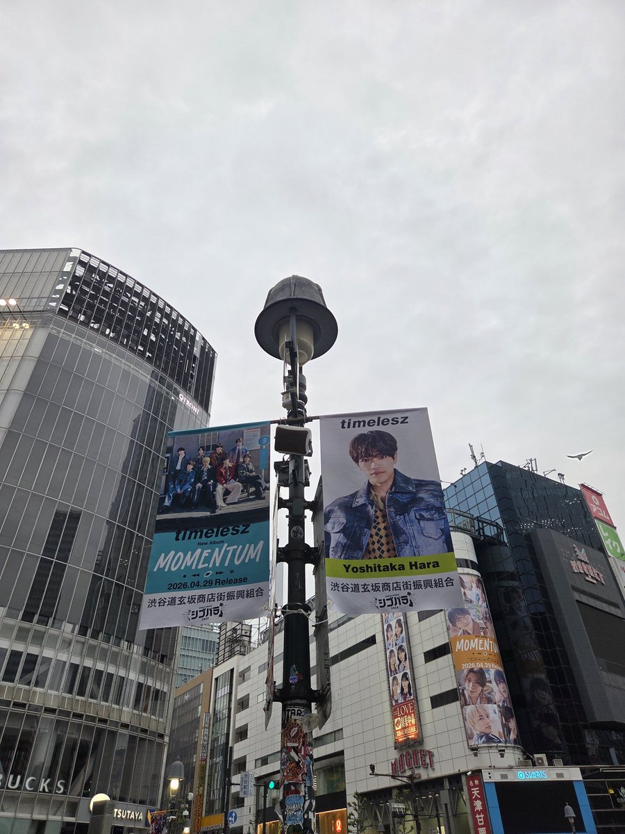 yyopikoo's tweet photo. 今年もスクランブルちゃぼす交差点💚
#原嘉孝
#timelesz
#MOMENTUM https://t.co/Rhd4agffLl