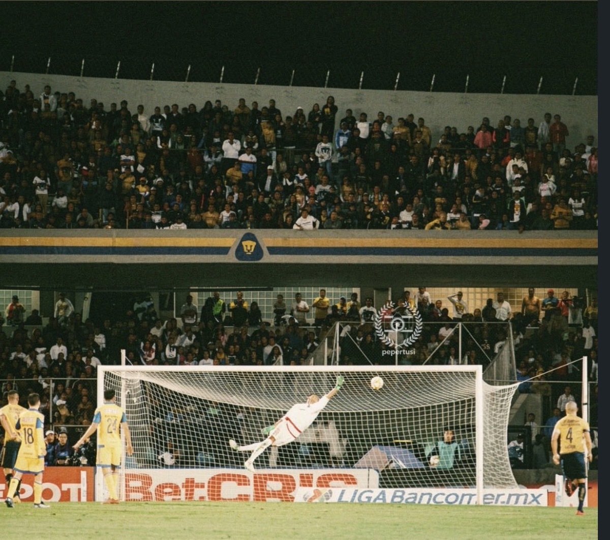 ln_dalex's tweet photo. Los niños de ahora pensarán que esta foto fue tomada al momento de un gol, pero @PatonGuzman dijo QUE NO!

Foto tomada por @pepemacias_ https://t.co/UUoBsWWCIN