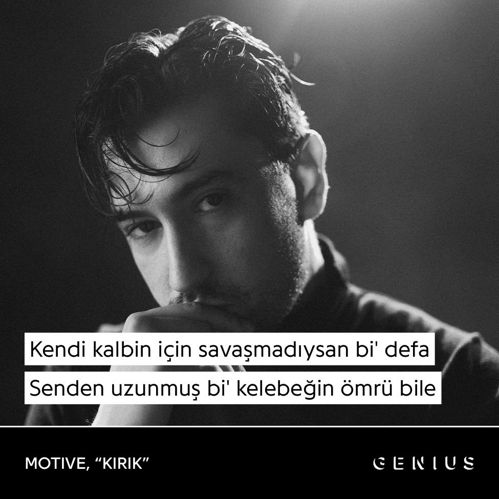 zehra tweet media