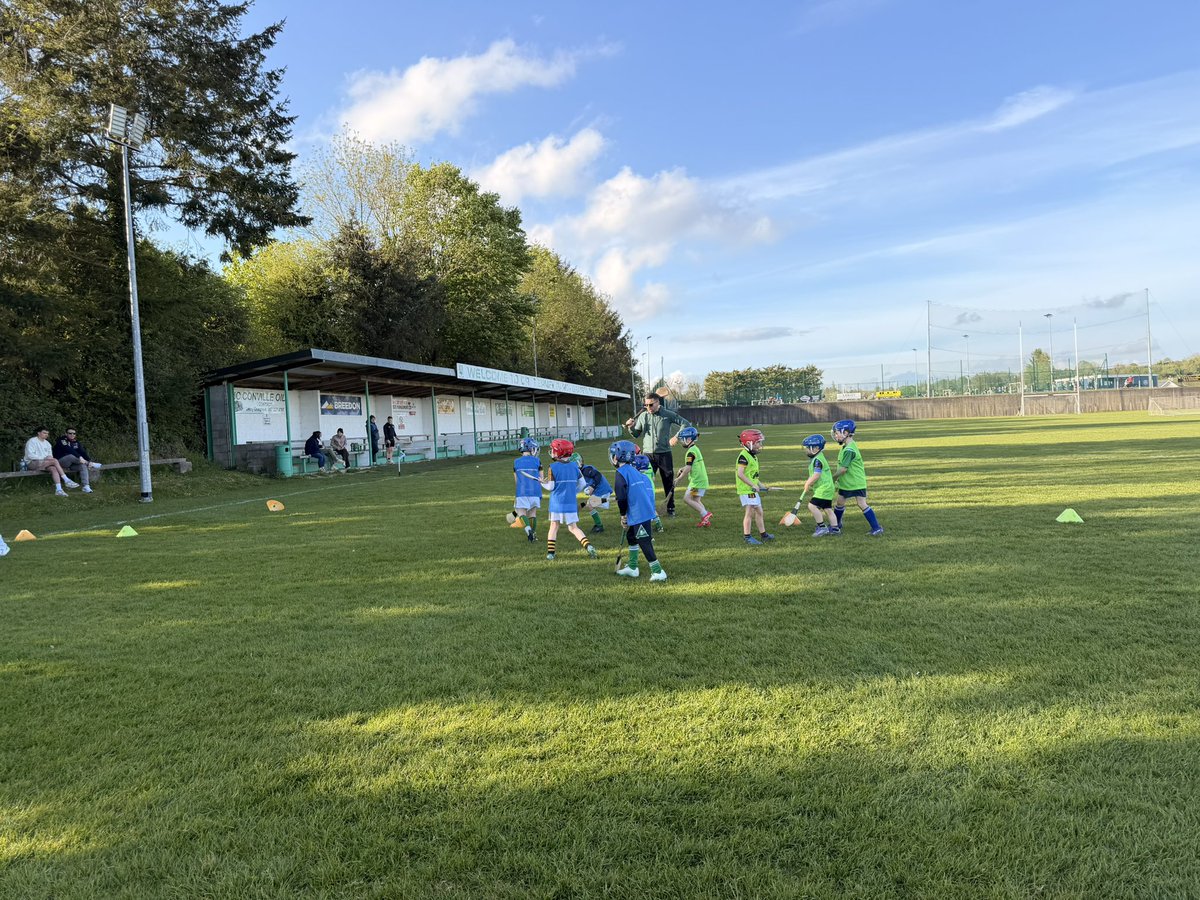 ellen_meagher's tweet photo. Great evening spent here in Graignamangh with the U6 boys… fantastic evening for it too well done to all 👏🏼👏🏼 #gaa #gpo #gamesdevelopment https://t.co/AIaUW98lq3