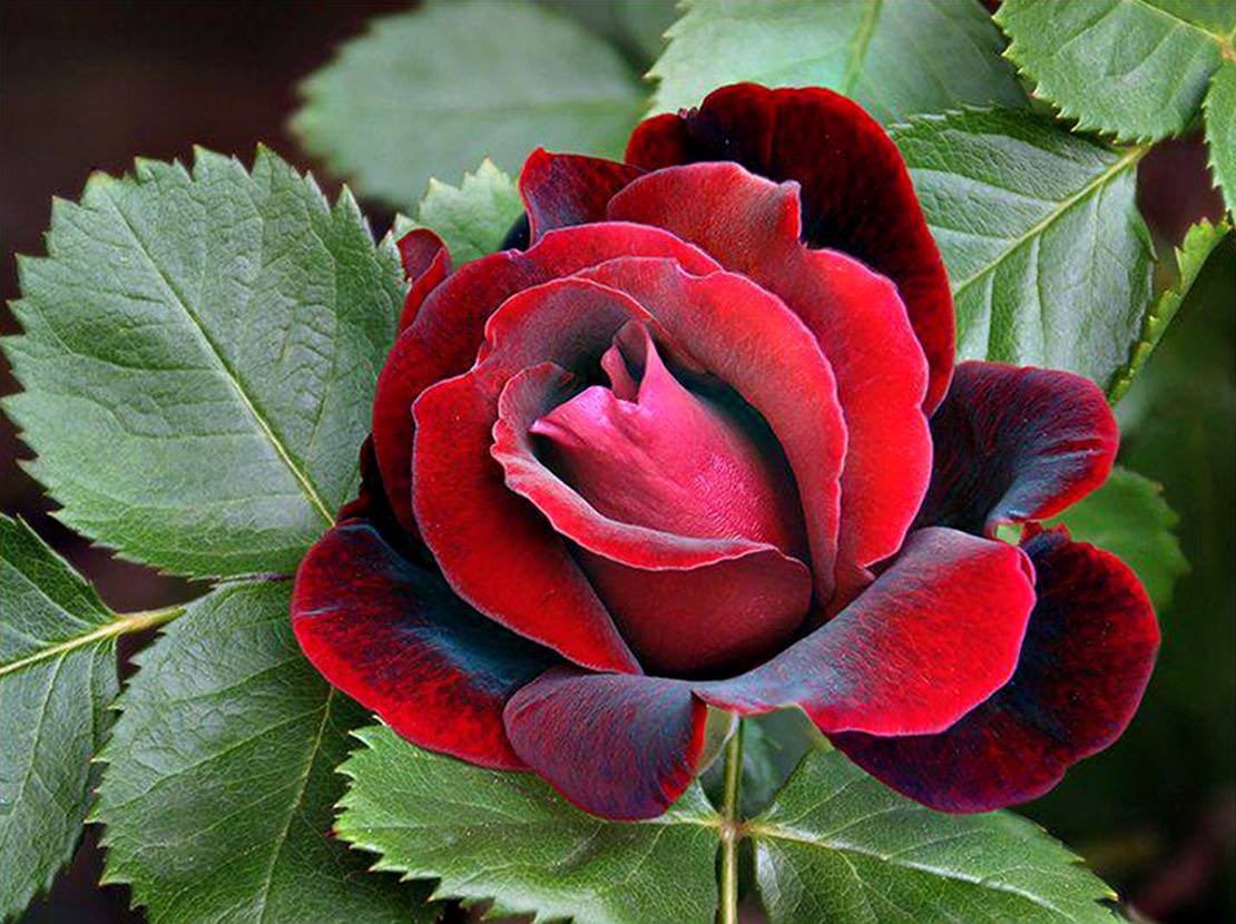 V Shivananda Kumar tweet media