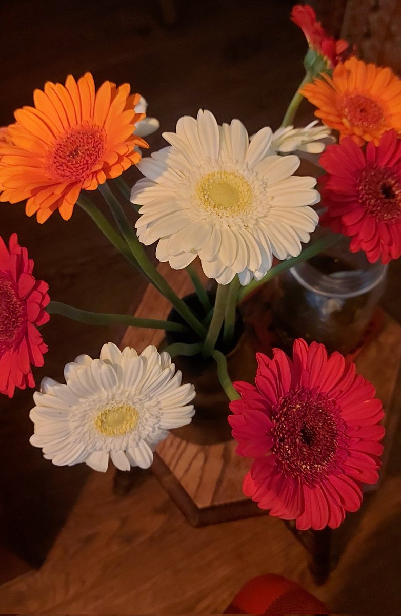 LivingCozy's tweet image. I love to create a beautiful, peaceful and cozy  home for my family and for myself. #Happiness Is Homemade! Happy Friday! 
When we #Love what we have ee have everything we need! 
👼❤️🏡❤️👼
#flowersonfriday #fridayvibes  #blessedandgrateful