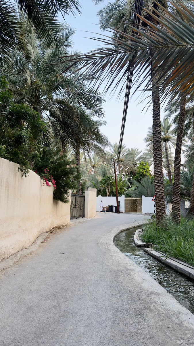 a2ra2_'s tweet photo. ممشى سرور 🌴 https://t.co/EU1HUDK4AY