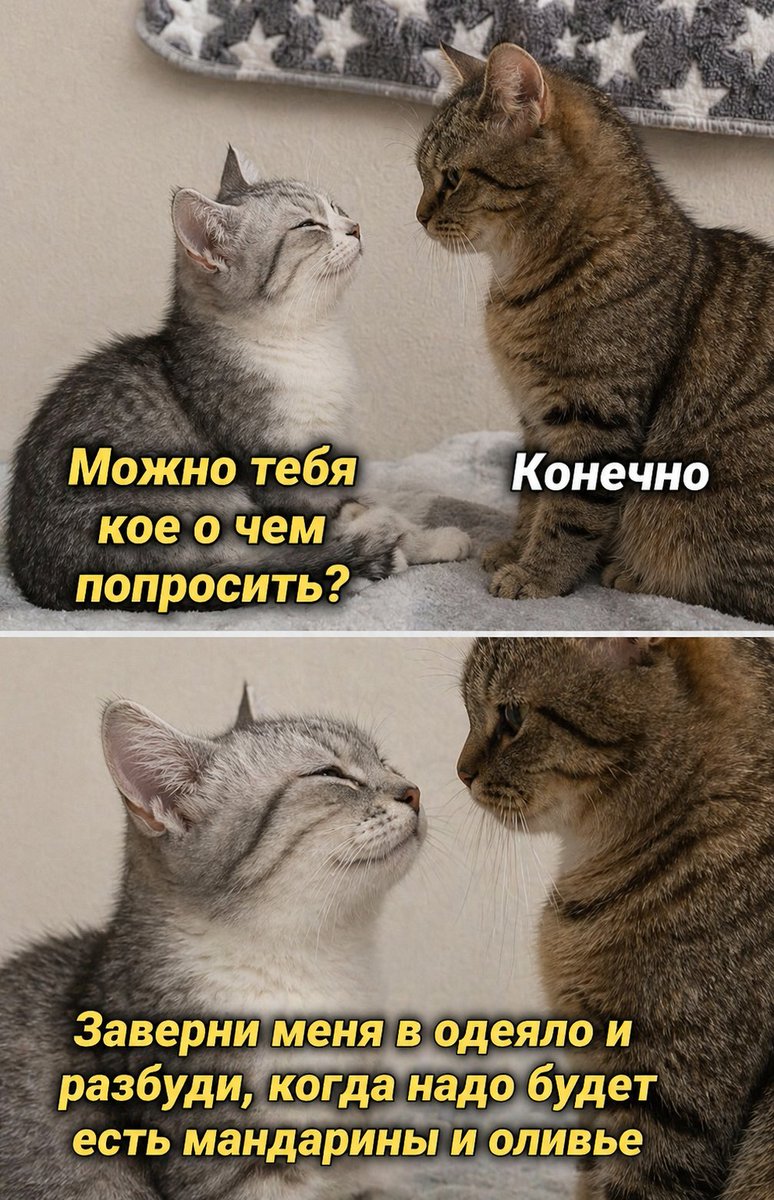 Cotizm (@cotizm1) on Twitter photo 